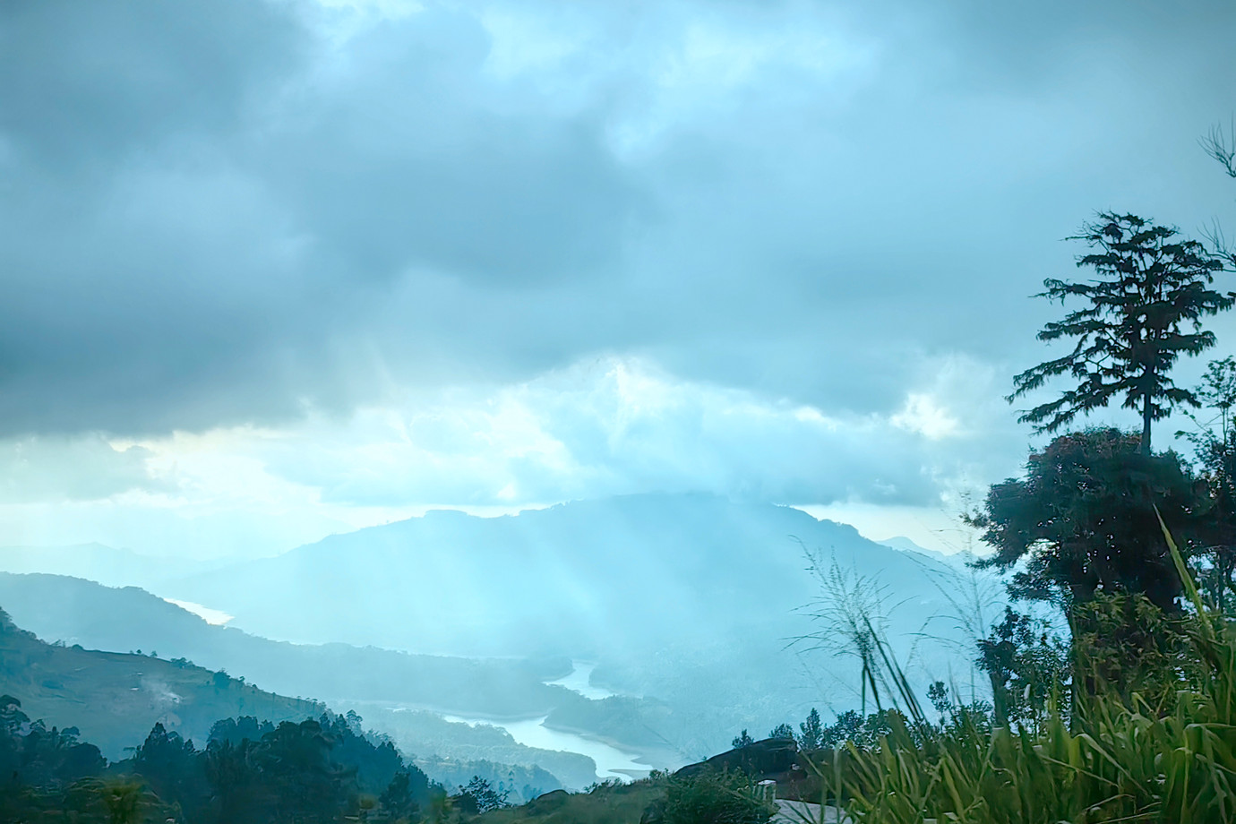 斯里蘭卡 - 努沃勒埃利耶 Nuwara Eliya 茶園